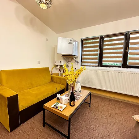 The Royal Fame - Modern With Balcony & Panoramic View * Craiova