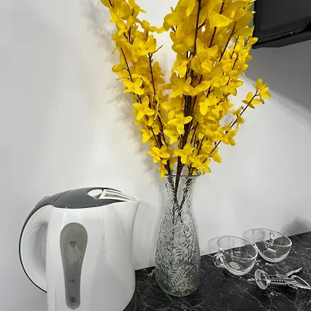 The Royal Fame - Modern With Balcony & Panoramic View *